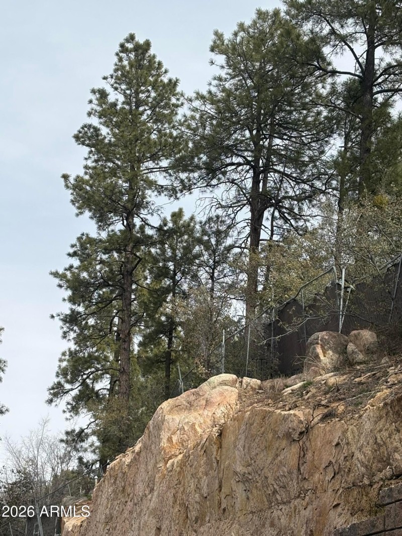 Photo #10