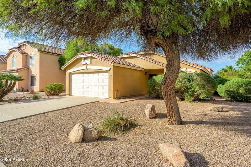 10-web-or-mls-Princeton-28