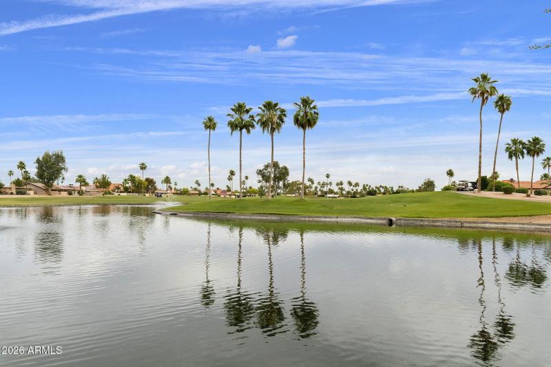 45-web-or-mls-DLB_2845