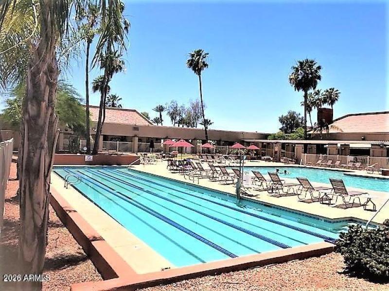 lap pool