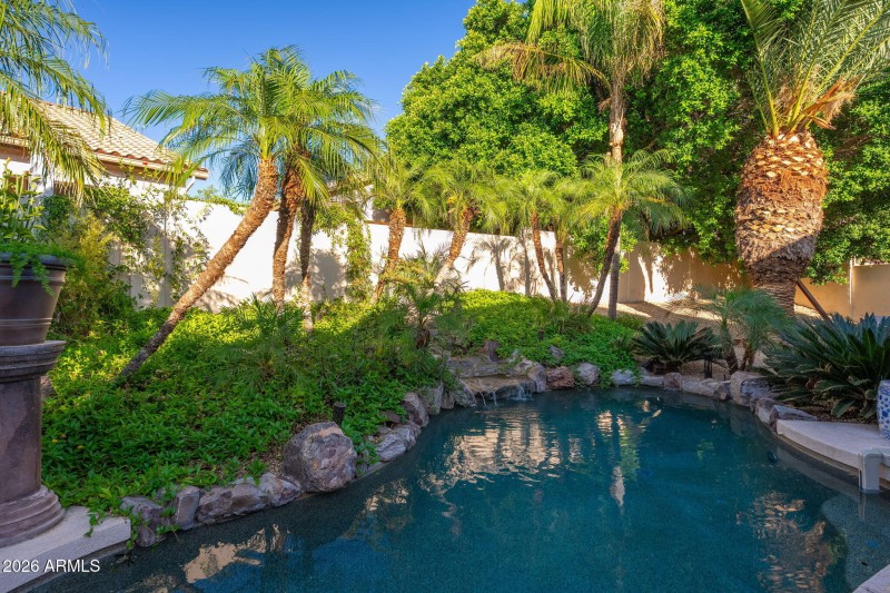 Backyard Oasis