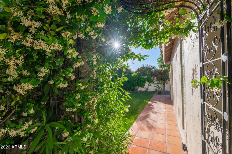 Lush Landscaping
