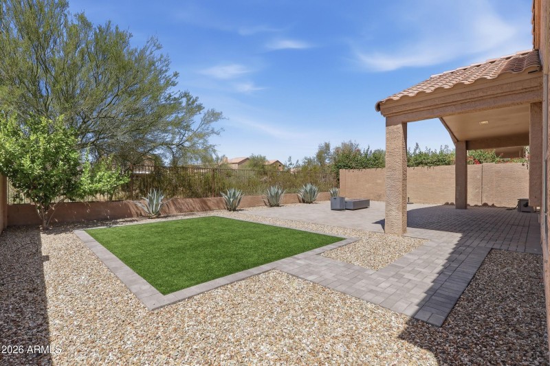 Backyard 2