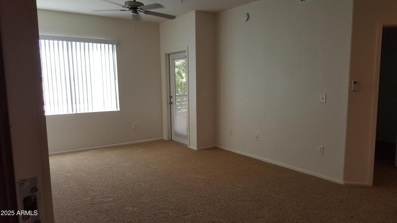 Photo #3