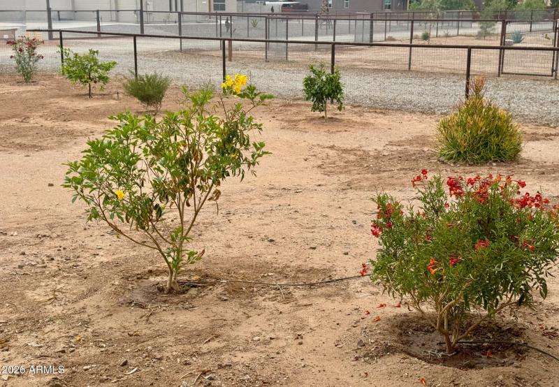 Front Landscaping