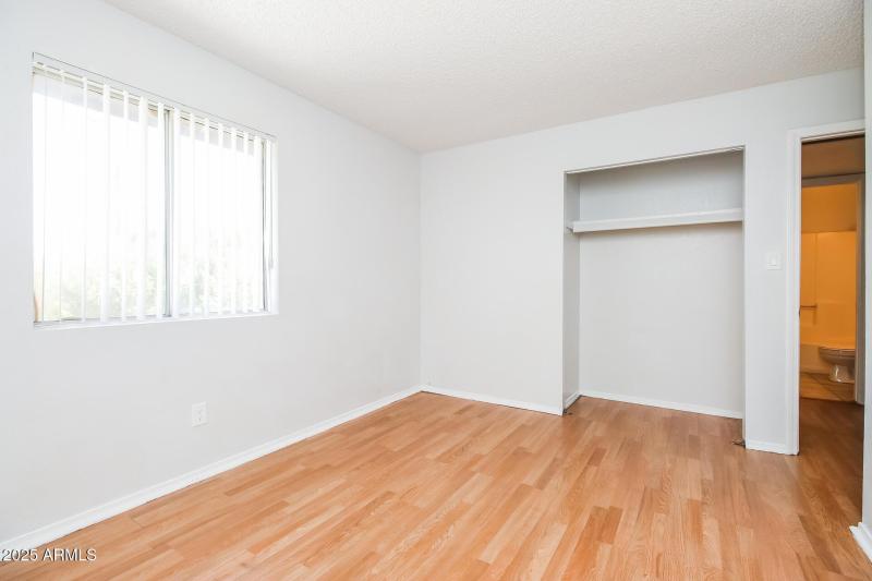 Photo #8