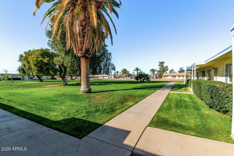 10409 front yard