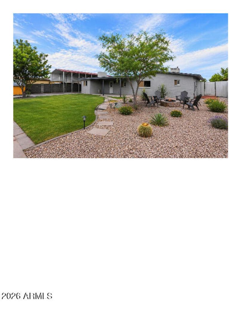Back Yard 1