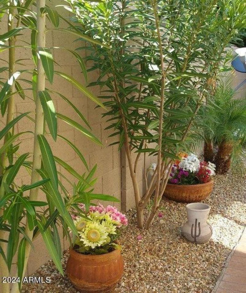 Photo #3