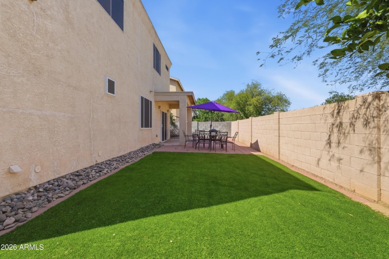 Low maintenance turf