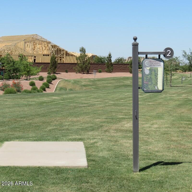 Disc Golf