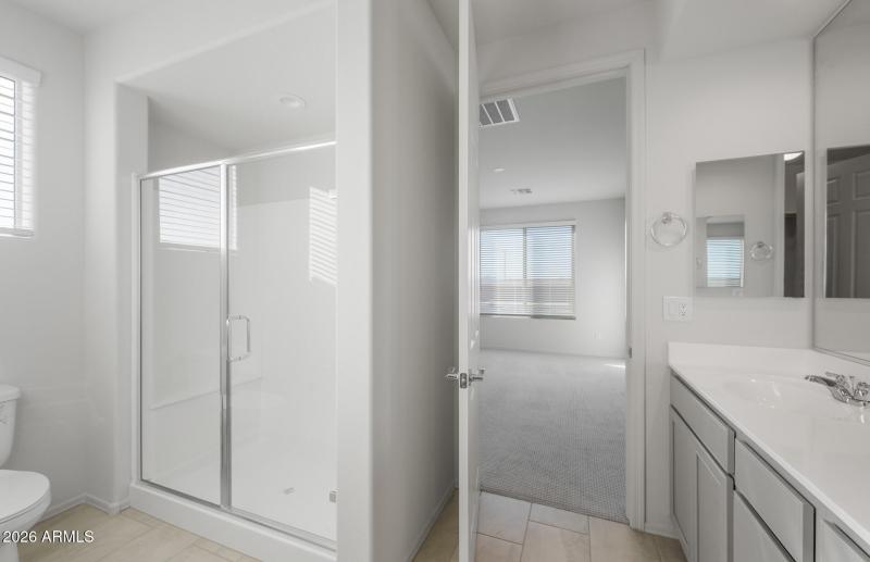 Owner's Bathroom