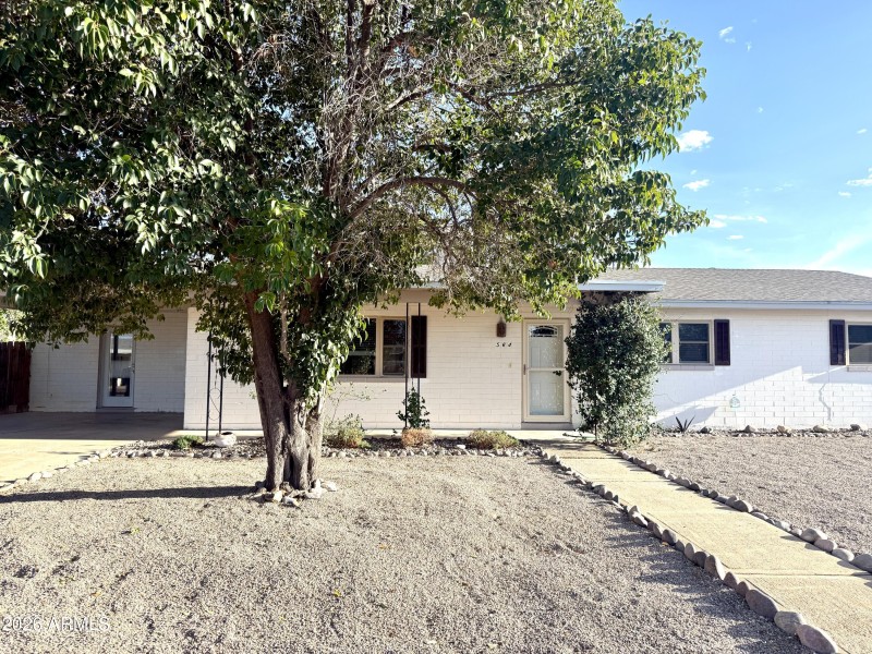 Front Yard