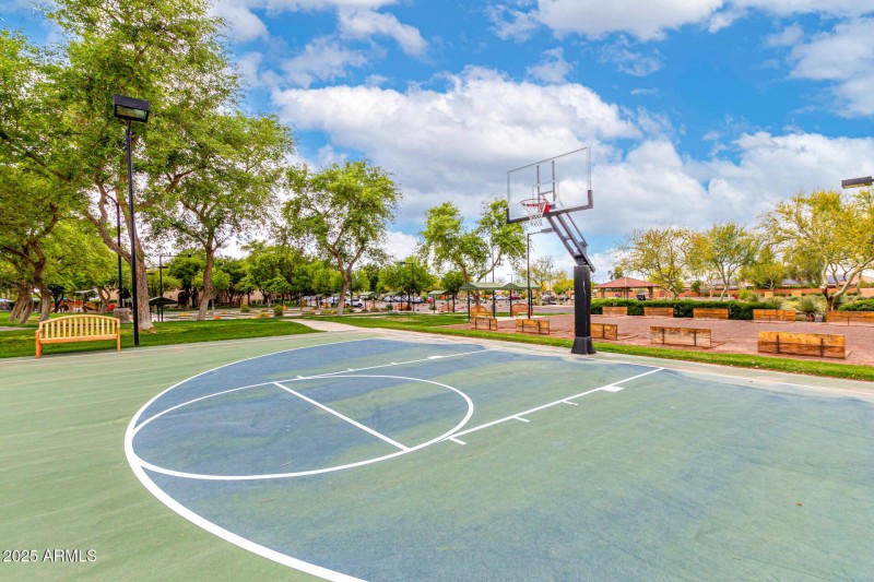 Basketball Court