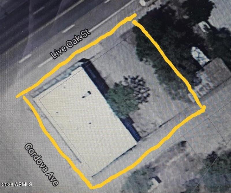 live-oak-lot