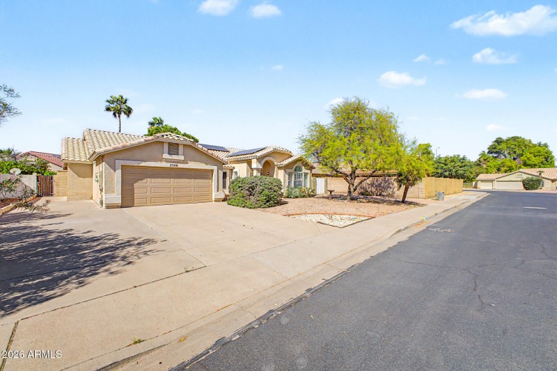 3 - Lynwood