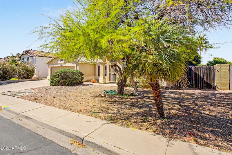 6 - Lynwood