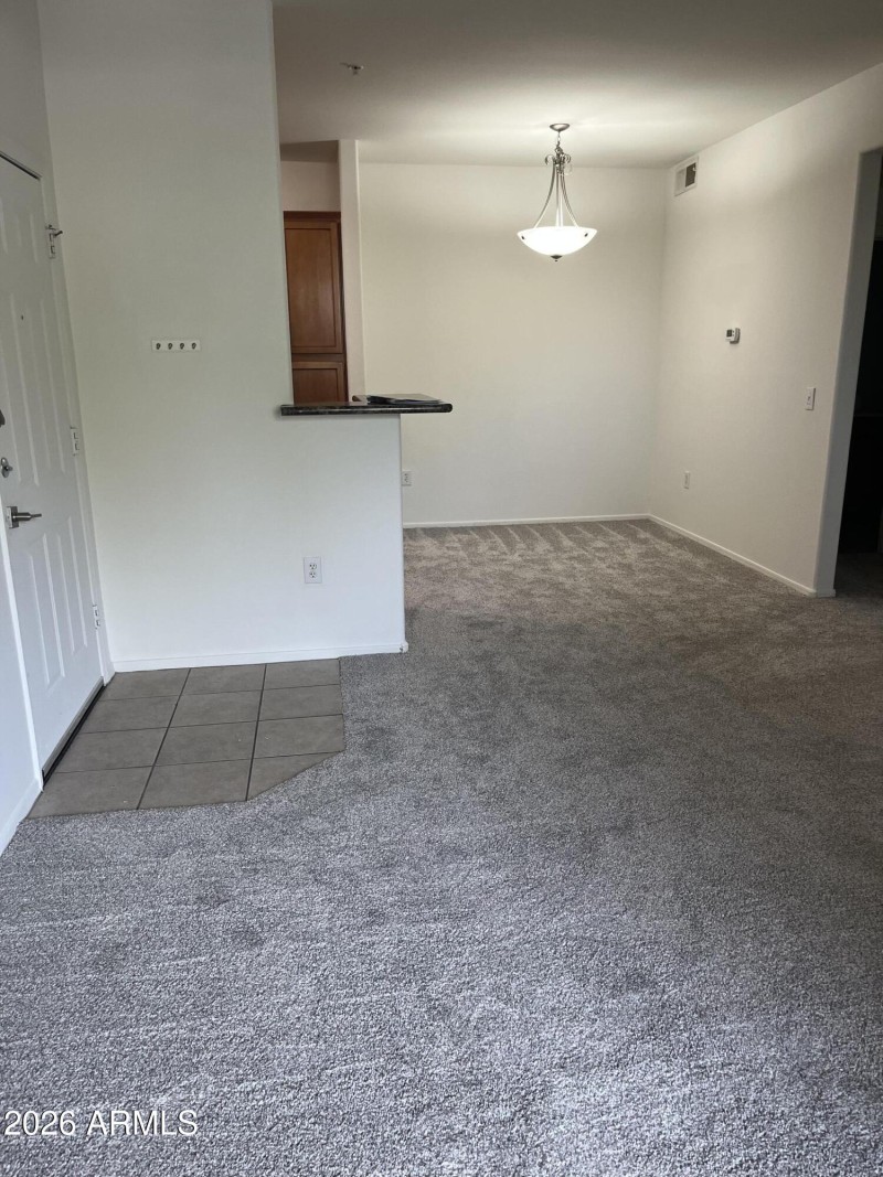 Fresh New Carpet