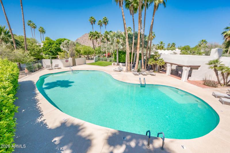 Main Pool & Patio