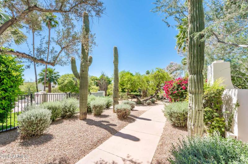 Mature Landscaping