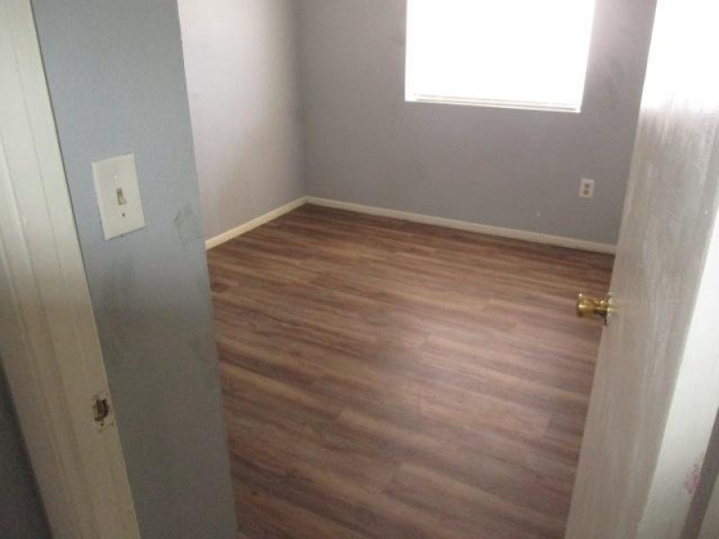 Photo #12