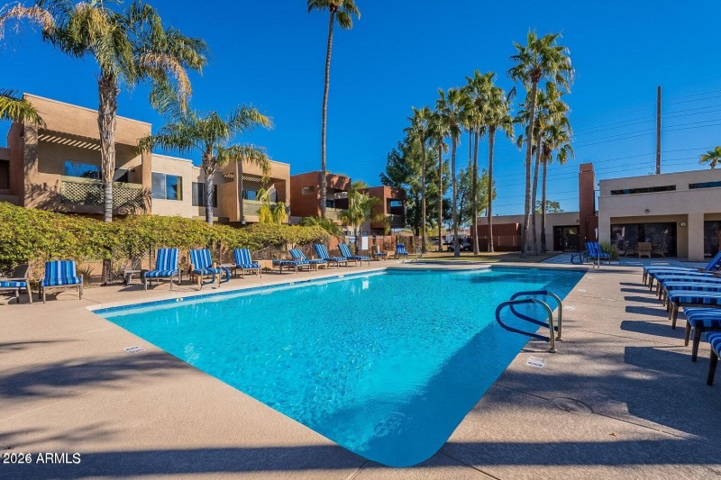 Community Pool2