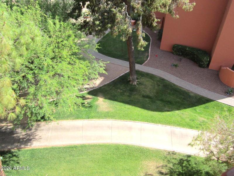 11 419 LOOKING DOWN TO WALKING PATHS