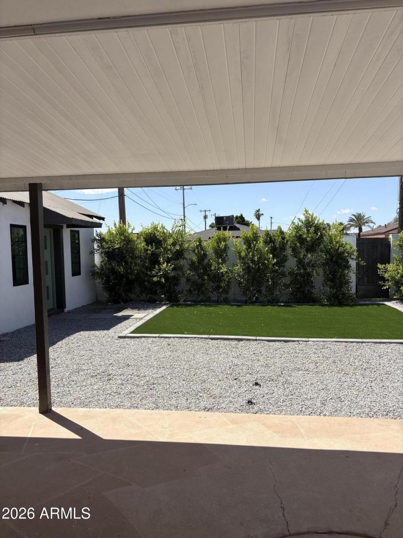 Backyard 385