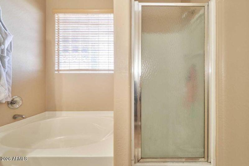 Master shower-Tub