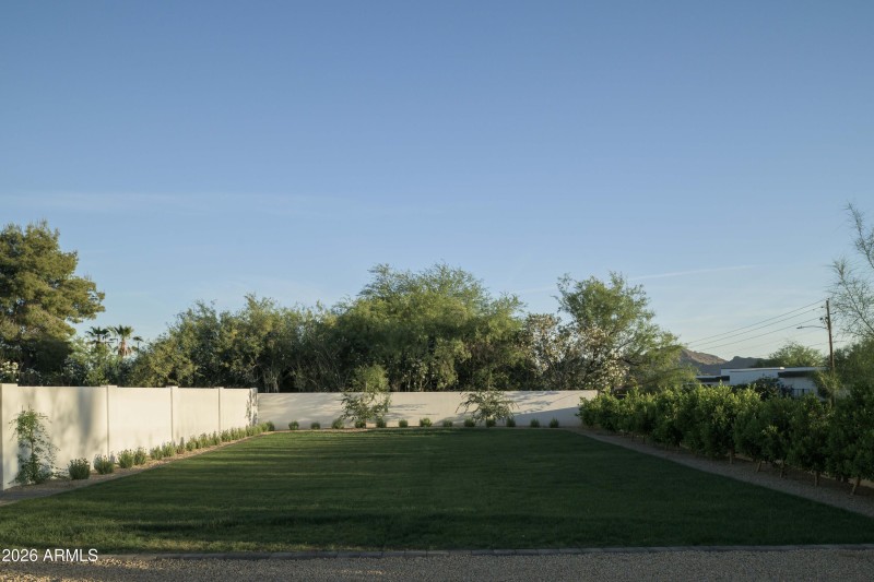 Backyard
