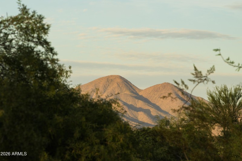 McDowell Mountain Views