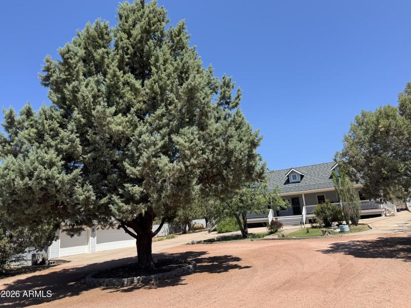Mature Shade Trees