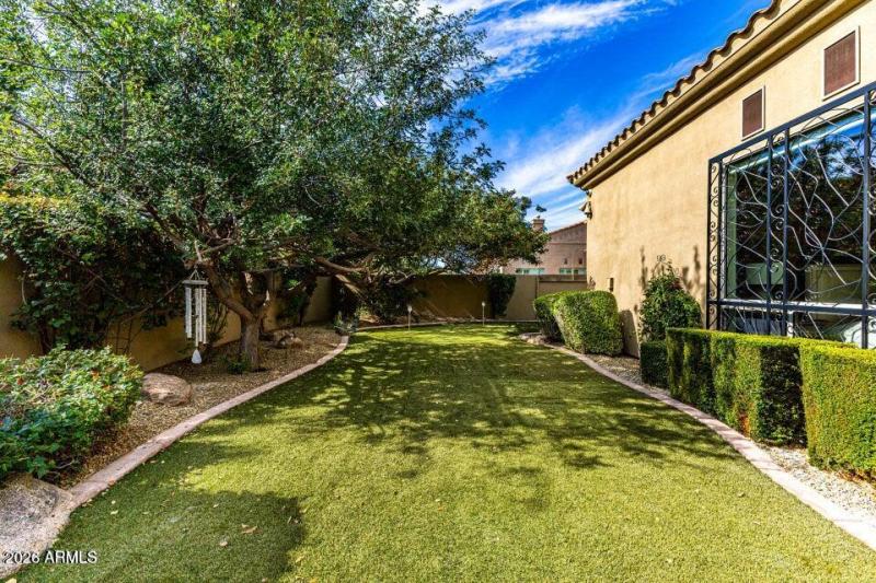 Backyard - other view