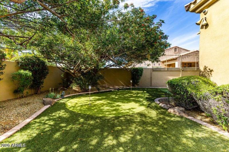 Backyard area