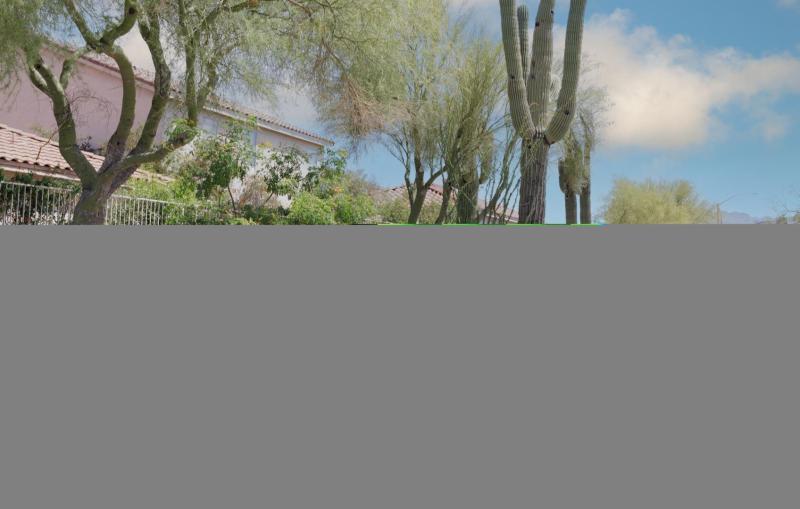 Photo #47