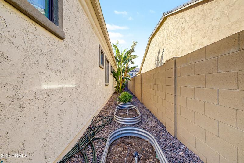 Backyard-8