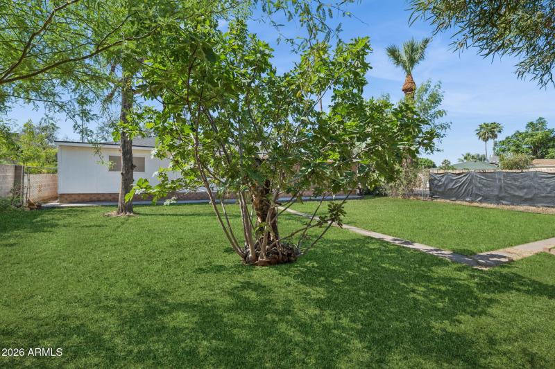 36-web-or-mls-1802-e-missouri-ave