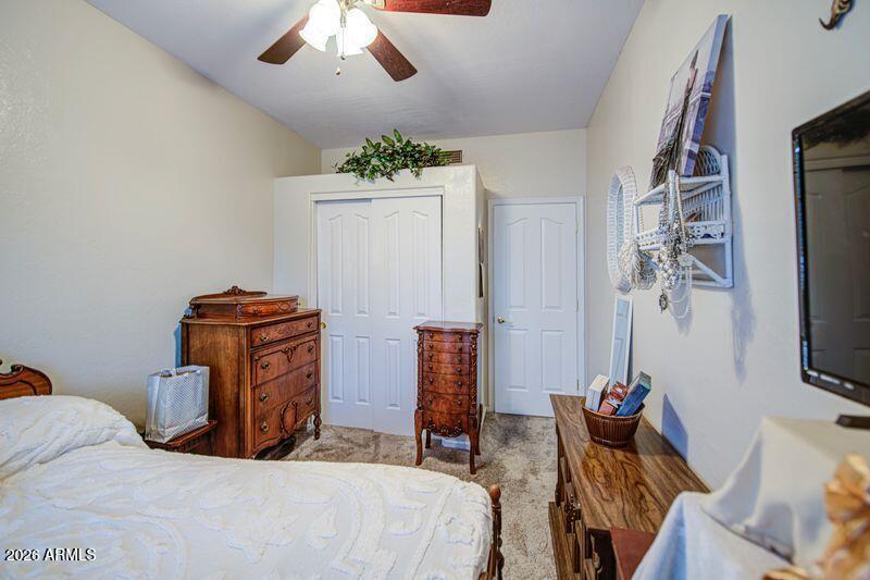 Downstairs 1st Bedroom