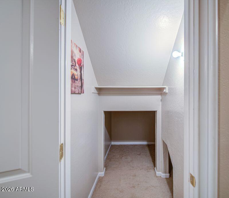 Under Main Stairs Storage