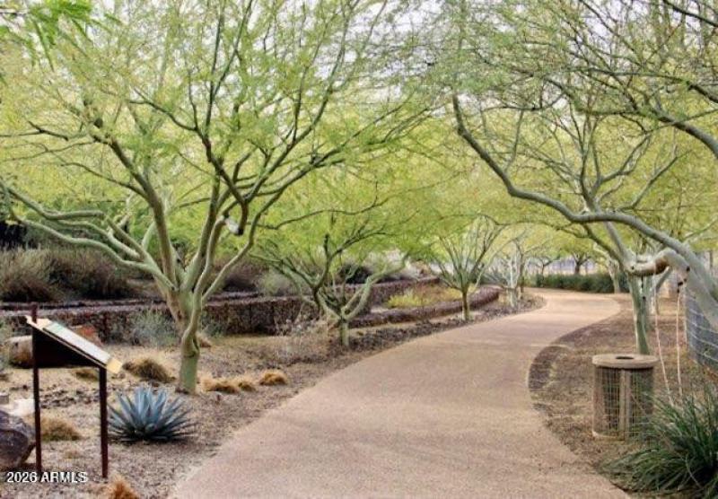 Park paths