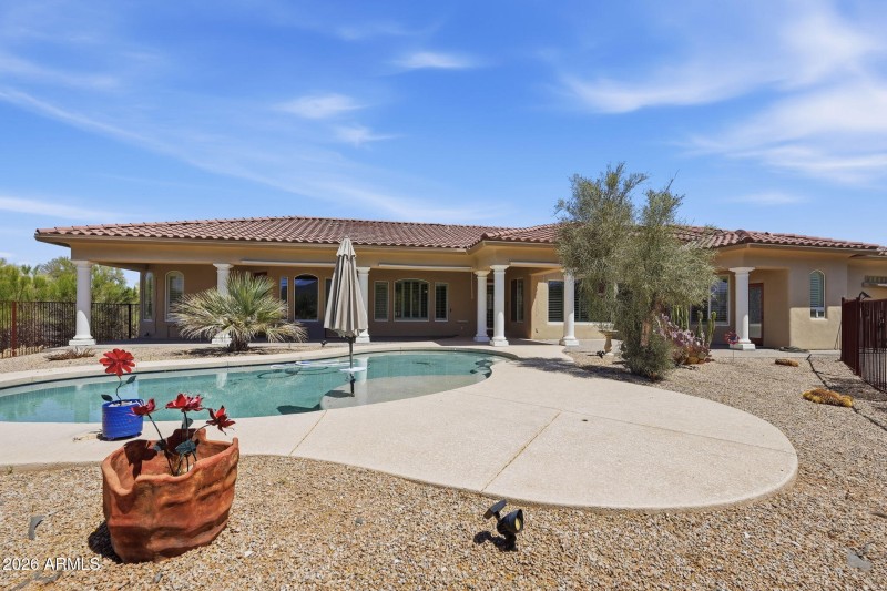 Backyard Oasis