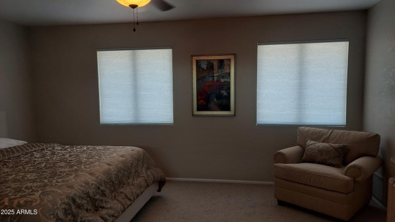 Photo #16
