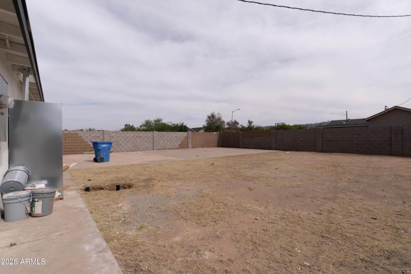 Backyard-3