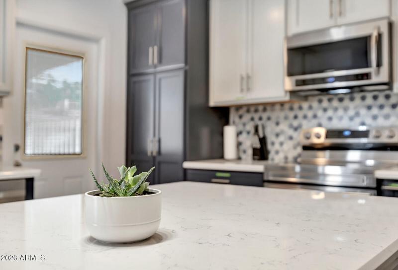 18_1524_E_Broadmore_Drive__18_mls