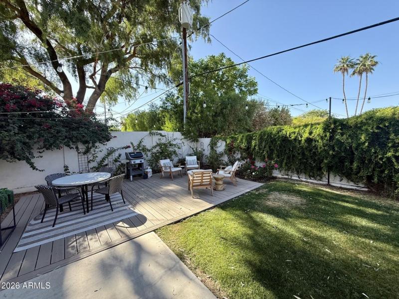 Backyard 2