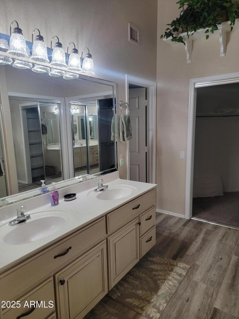 Primary Bath vanity
