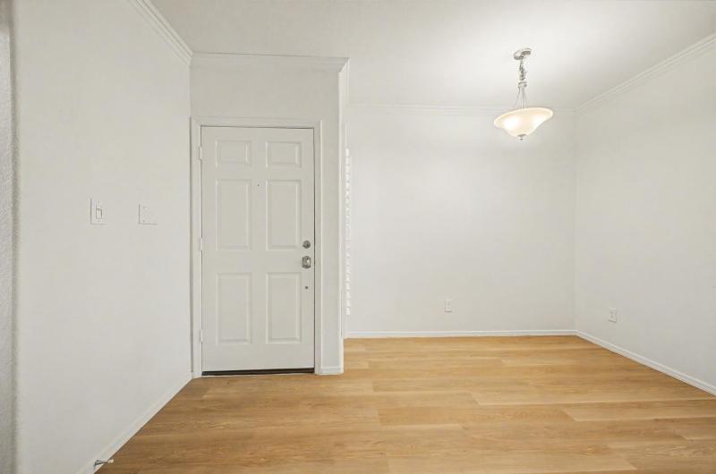 Photo #6