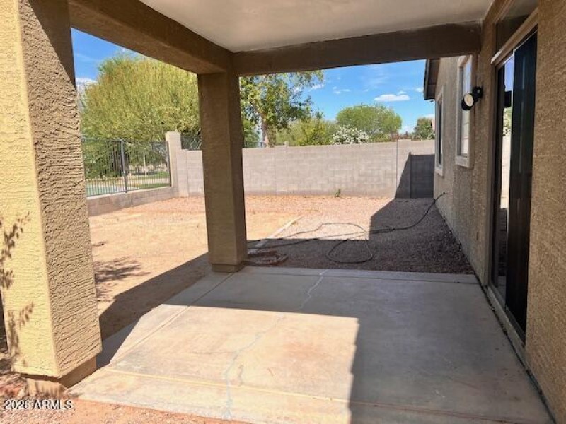 Backyard--new