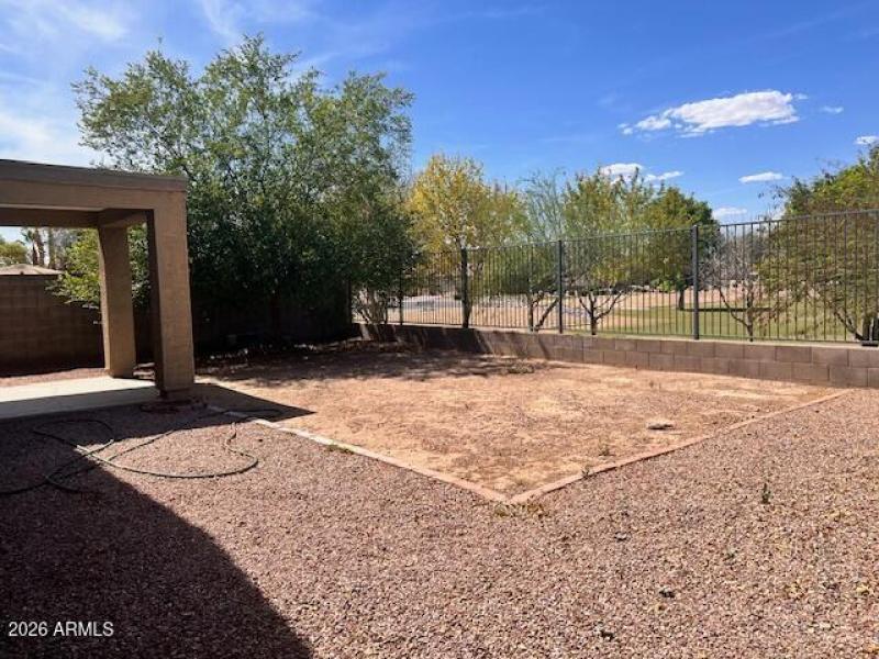 Backyard---new2