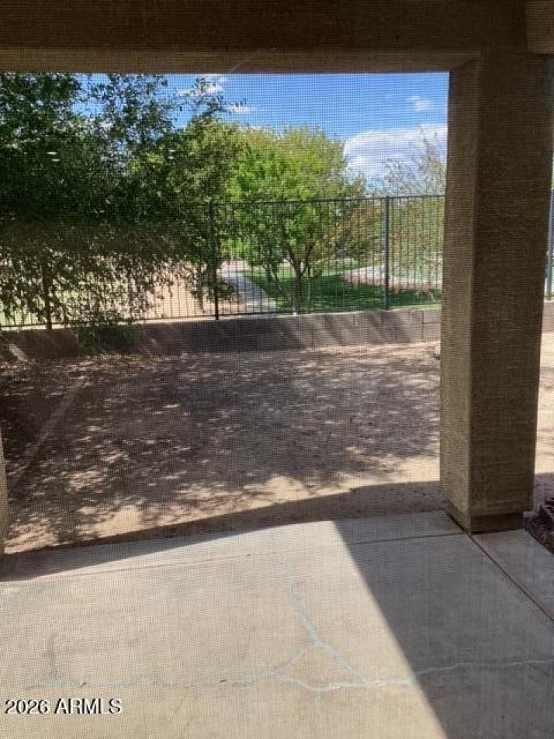 Backyard--new1